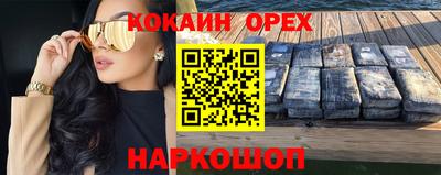 СК Гатчина