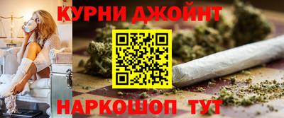 СК Гатчина