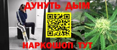 СК Гатчина