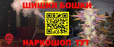 СК Гатчина