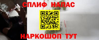 СК Гатчина