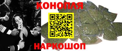 СК Гатчина