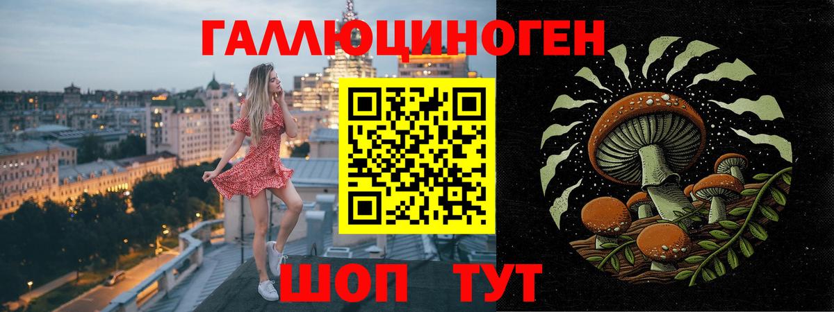 Омск  Галлюциногенные грибы Psilocybine cubensis  Галлюциногенные грибы мицелий  Вход с VPN 