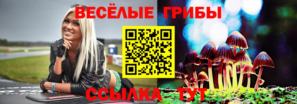Псилоцибиновые грибы мухоморы Омск