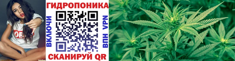 Каннабис VHQ  Омск 